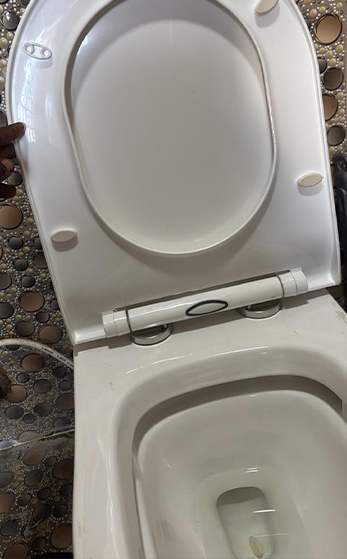 Professional plumber service in Manapakkam